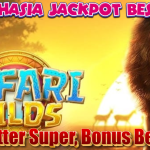 TIPS TERUS JACKPOT MAIN SAFARI WILDS SLOT